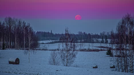 Tiro-De-Lapso-De-Tiempo-De-Luna-Llena-Púrpura-Que-Se-Eleva-En-El-Cielo-Por-La-Noche-Durante-El-Día-De-Nieve-En-La-Naturaleza