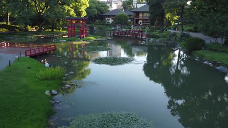 details of japanese garden at sunset, buenos aires city in argentina