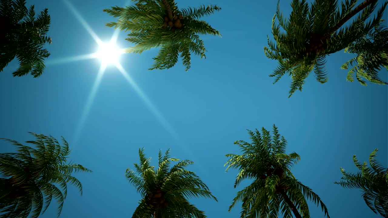 나무 골목을 가로질러 운전