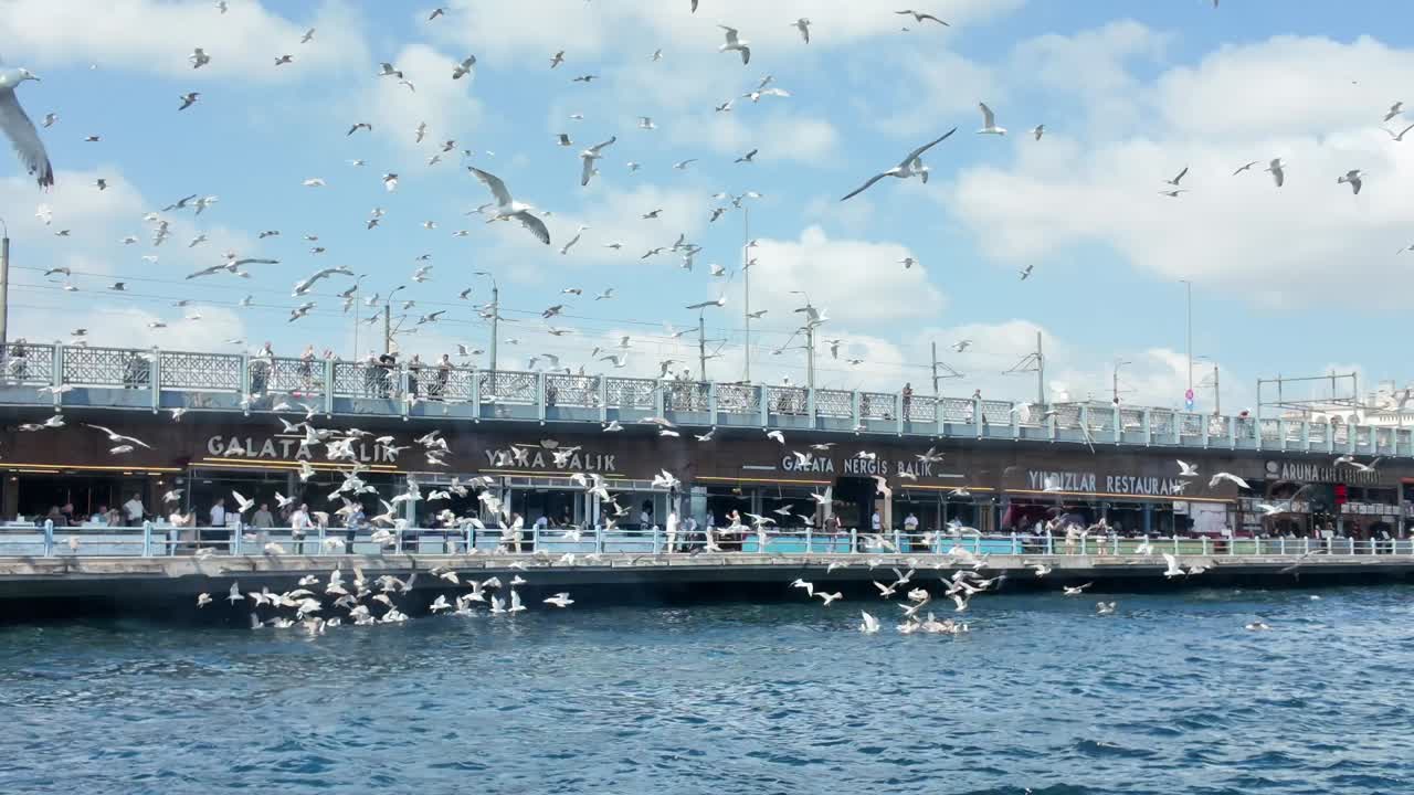 Seagulls Flying Over Galata Bridge in Istanbul