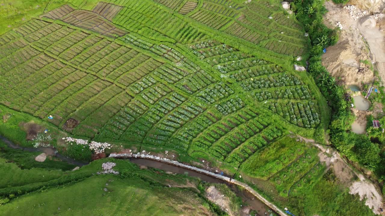 Drone video of Meghalaya's natural beauty.