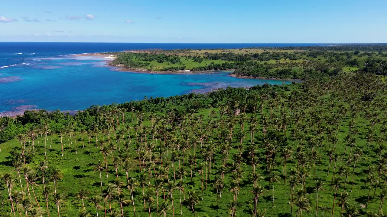 toma aérea de drones de la bahía de la playa del océano y el campo de palmeras bahía de arrecife de coral viajes turismo vacaciones snorkel lugar puerto vila vanuatu 4k