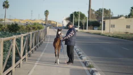 man caring for young foal on rural road