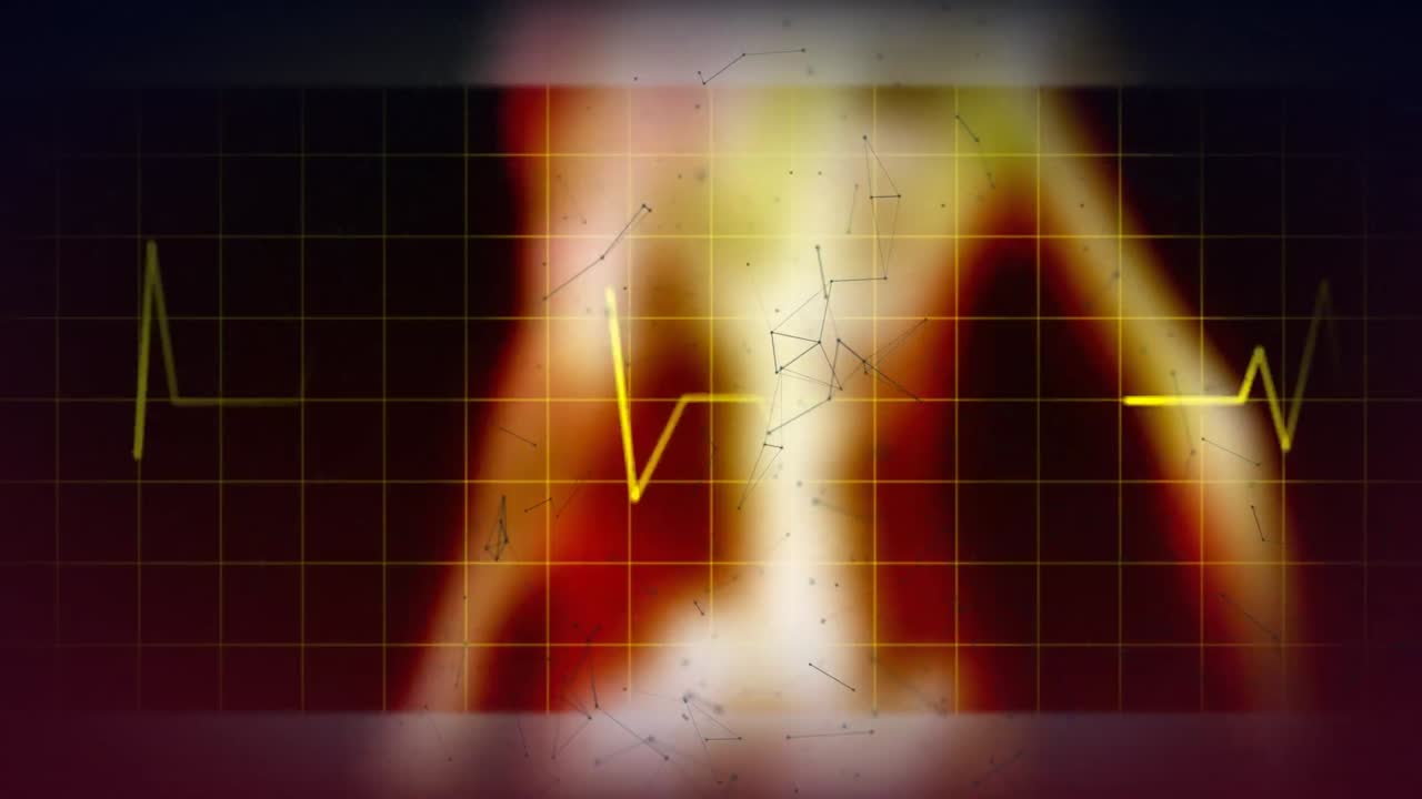 animación de la red de conexiones en caída sobre la red