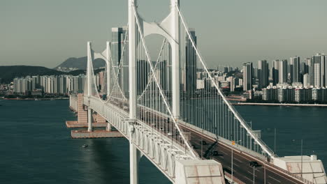 cable-stayed bridge over a bay in a city