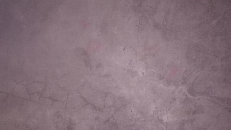 animación de stop motion de los productos de maquillaje aparecen en el lado derecho del tema oscuro