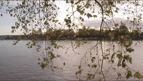 View-of-river-Thames-at-sunset