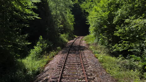 old train railroad passing through dense forest. day time, wide moving shot