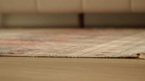 colorful patterned rug on a wood floor