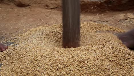 mujer golpeando grano para hacer comida