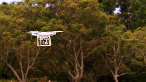 drone flying in the park