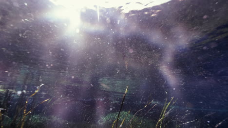 Snorkeling-in-clear-water-with-bubbles-between-underwater-plants-against-sun-flare-lights