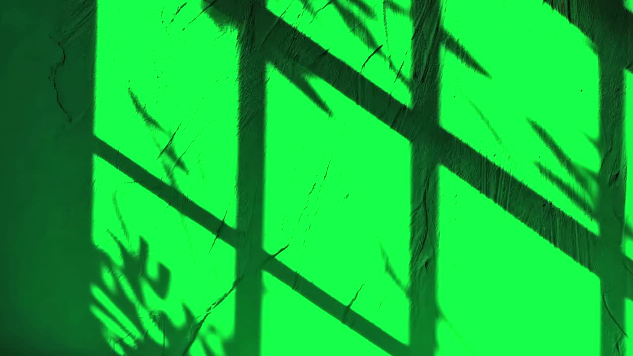 Abstract window shadows animation, transparent 4K video, green screen