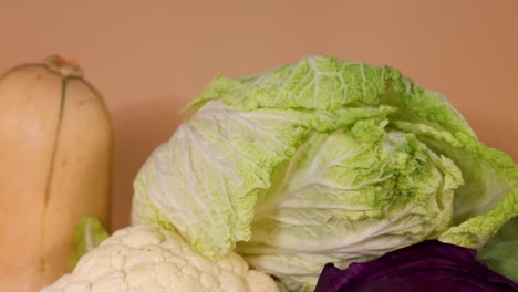 a variety of fresh vegetables, including cabbage and squash, are arranged against a neutral backdrop, showcasing vibrant colors and textures