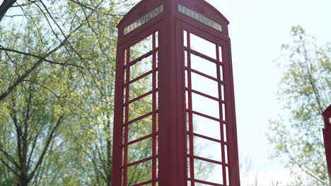 Close up panning upwards clip of iconic London red telephone box, in leafy park woodland