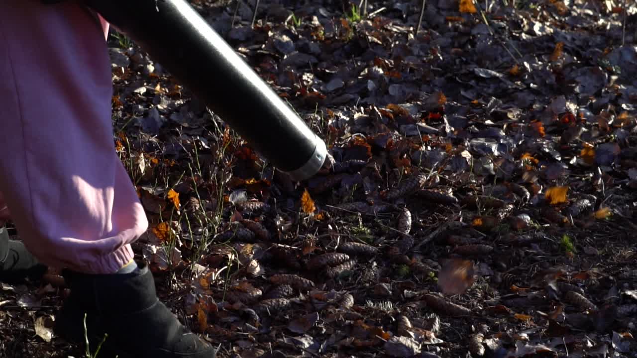 niña soplando hojas de su propiedad