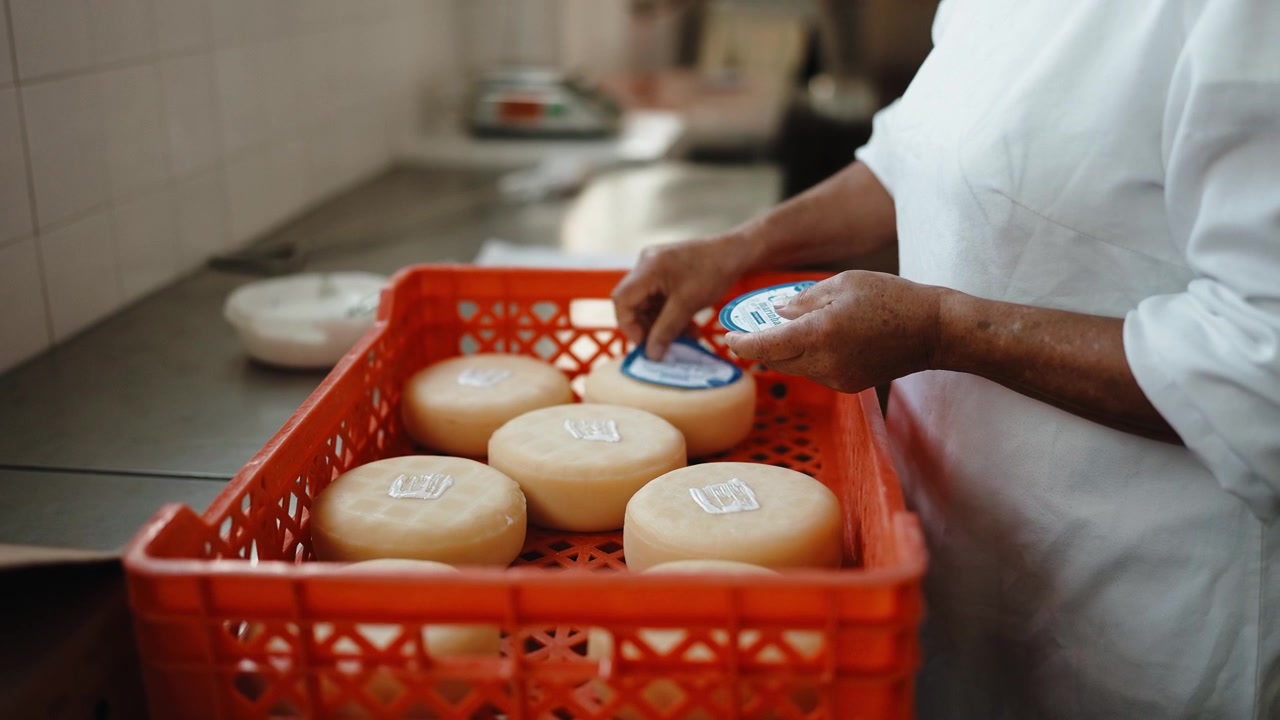 Worker preparing small cheese wheels for packaging in a red crate at a dairy production facility. Focus on food industry