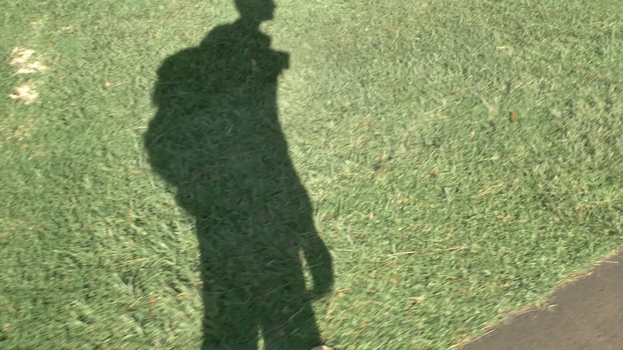 Silhouette of man walking in a park