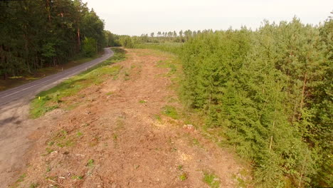 Logging clear cut