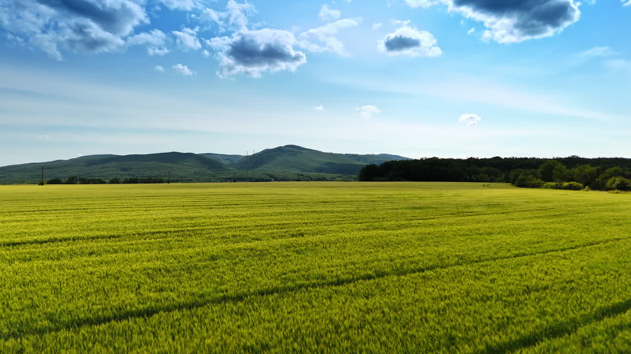 Lush green fields under a blue sky. Vast green fields stretch under a bright blue sky, with hills visible in the distance. Clouds drift gently above