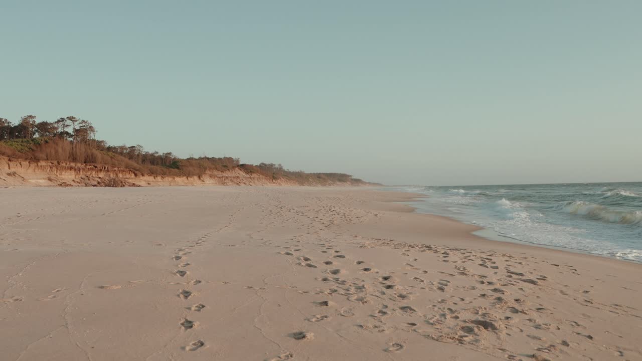 footprints trail across a peaceful sandy beach beside gentle waves and distant tree line