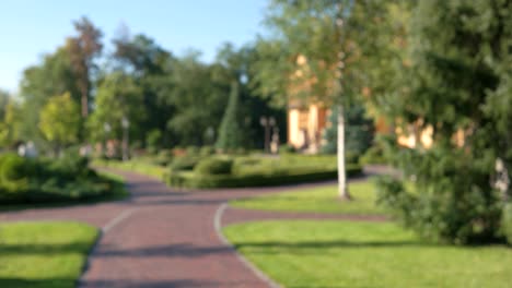 el parque y la gente borrosos.