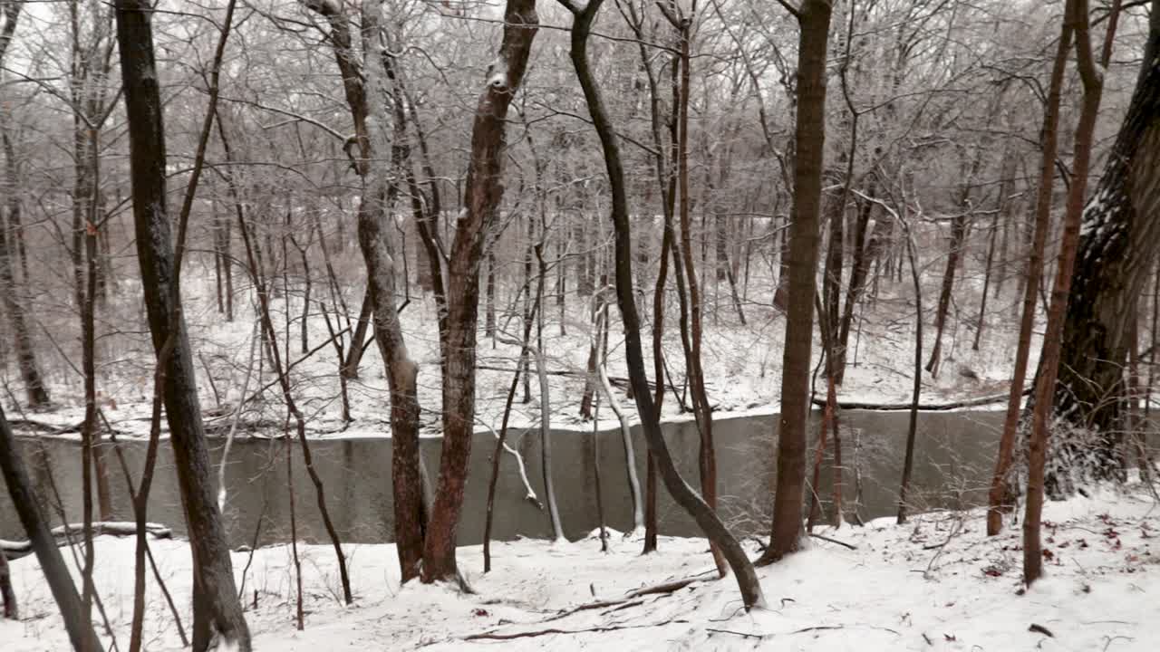 자연을 가로질러 흐르는 삼림 강의 더 높은 곳에서 바라본 풍경