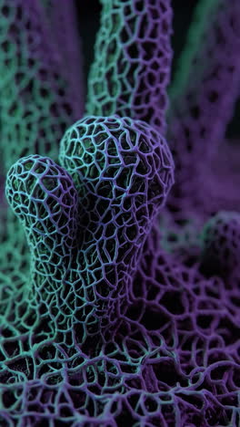 close-up of a networked fungus structure