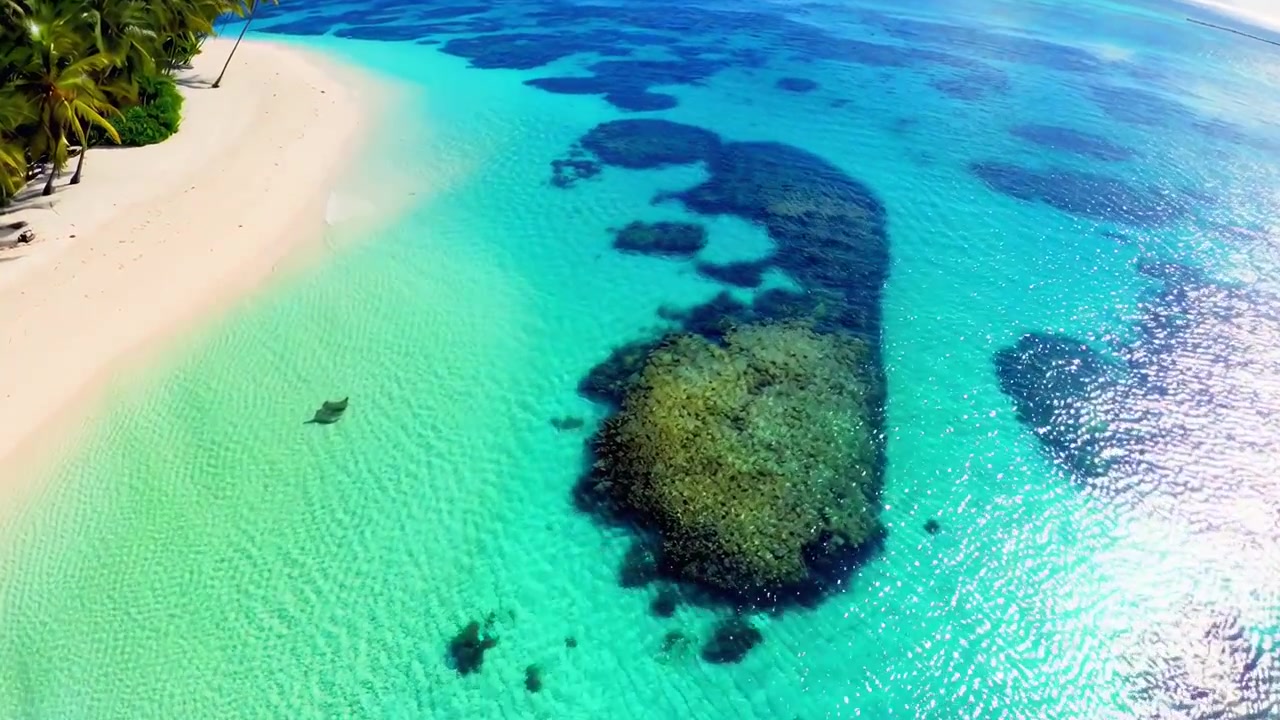 Luftfoto af tropisk strand med klart turkisblåt vand og koralrev