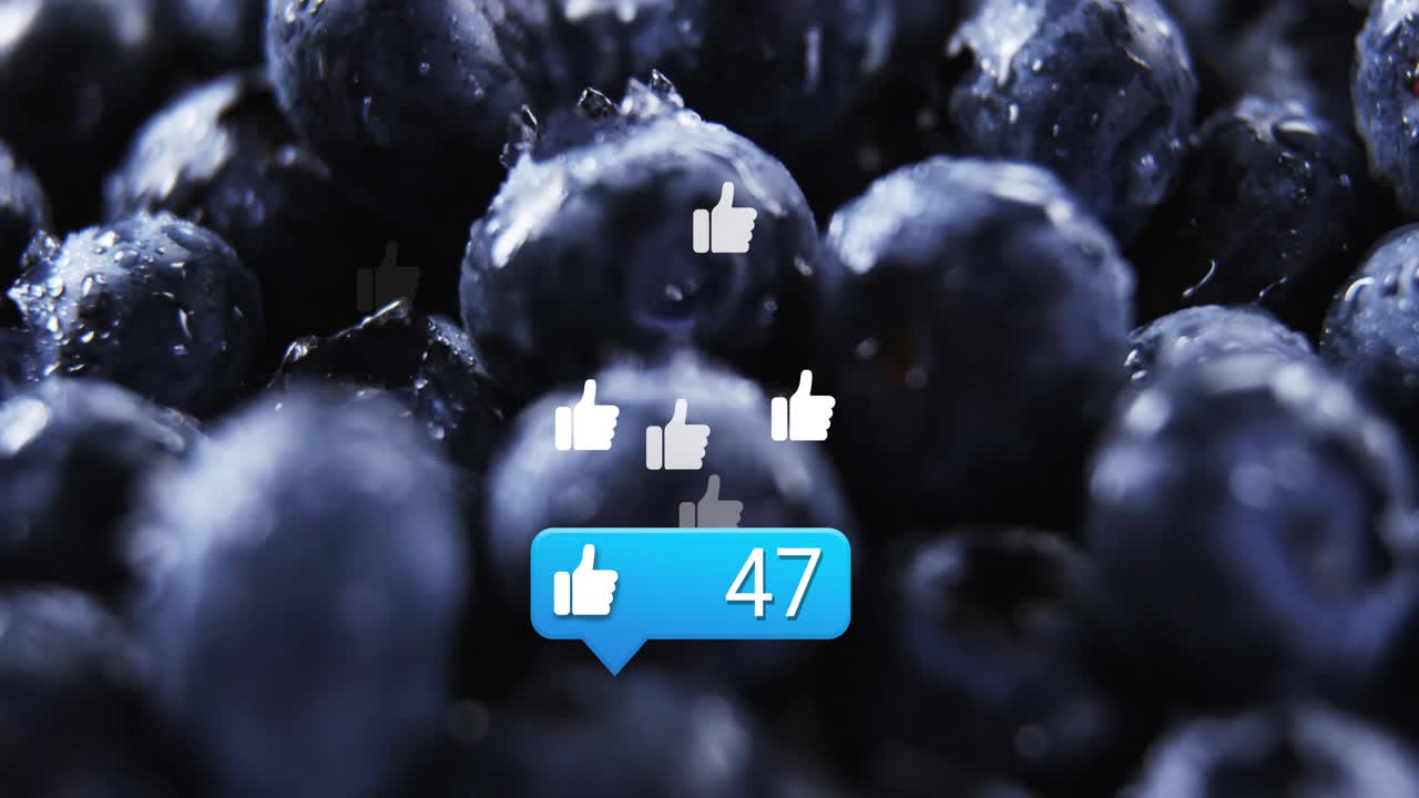 los arándanos con las redes sociales como iconos y 41 me gusta animación