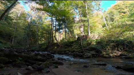 Small-drone-taking-off-and-hovering-near-a-creek-in-the-woods