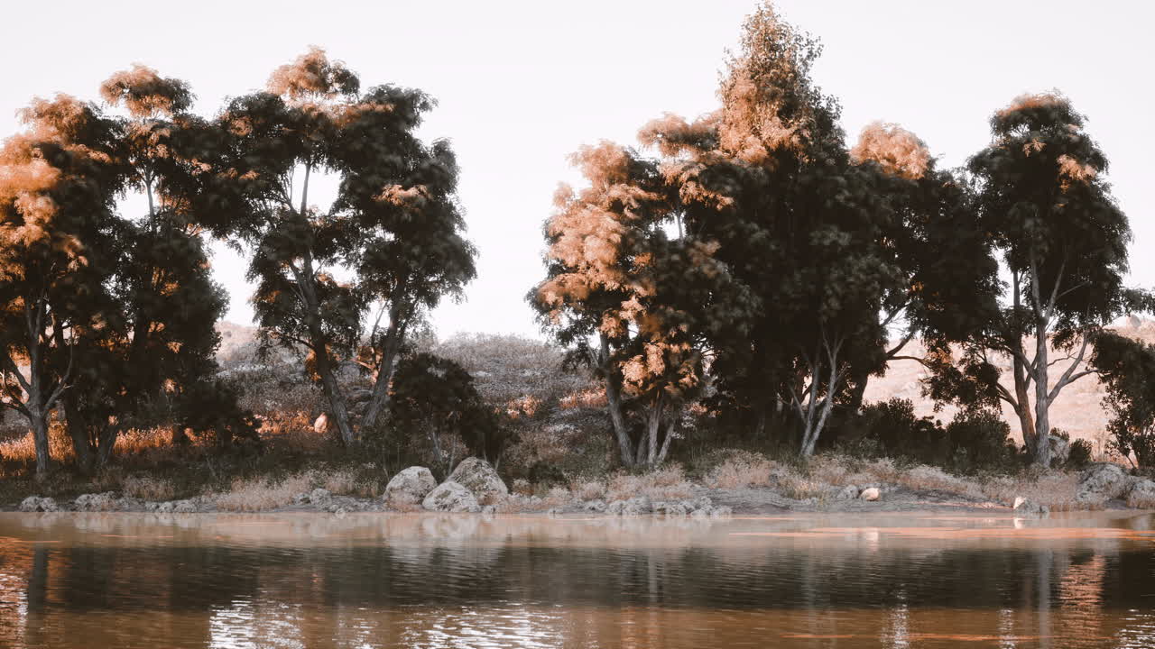 Tranquil morning by the water with trees and reflections in soft light
