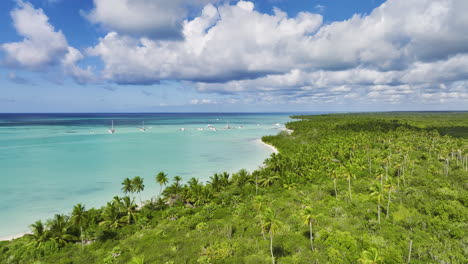 palm-fringed beachfront of saona island on east national park in the dominican republic