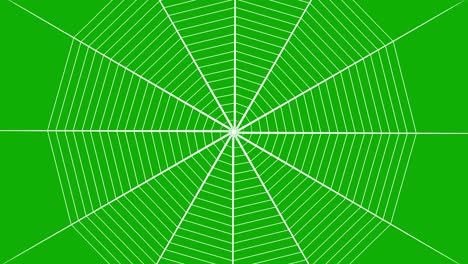 gráficos digitales de movimiento web con fondo de pantalla verde