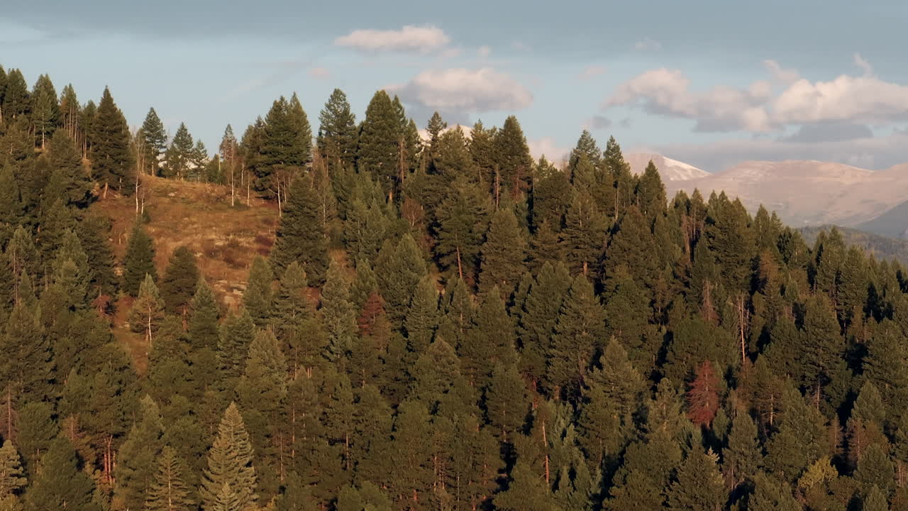 Prima neve sulle cime del Monte Blue Sky Evans, ripresa aerea cinematografica con drone da Evergreen Colorado, Idaho Springs, Morrison, Denver. Alba, prime luci, zoom mozzafiato, scena d'apertura drammatica.