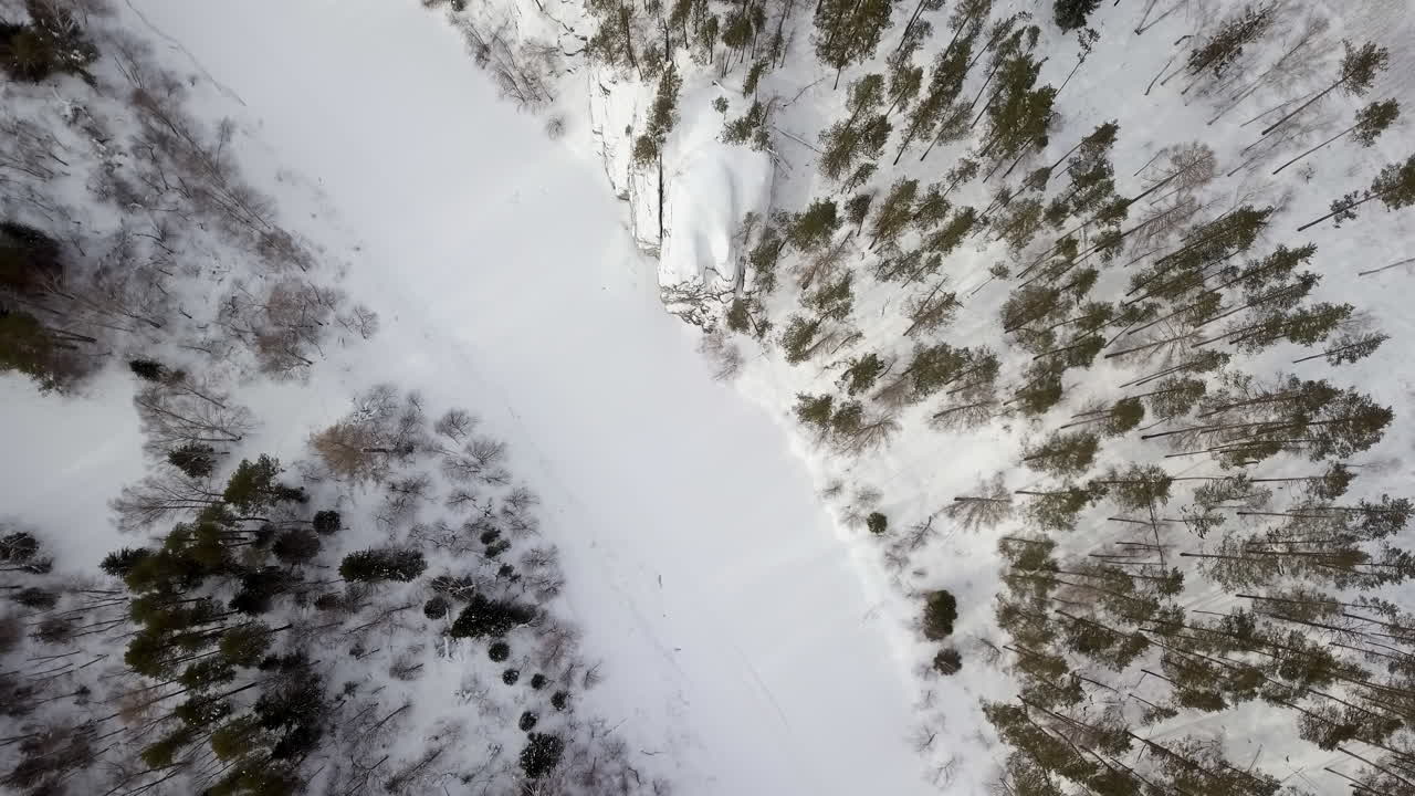 vista aérea del bosque nevado de invierno