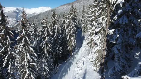 Mujer-Corriendo-Por-Un-Camino-Nevado-Entre-Un-Bosque.-Disparo-Aéreo-Con-Drones-En-Un-Día-Soleado