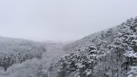 nevadas en las ardenas, bélgica - toma aérea