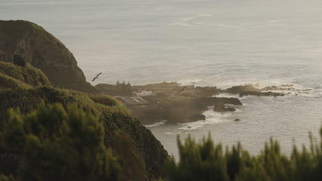 sea birds fly over house on cape at azores, wide view from green hill