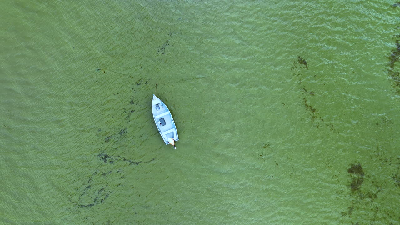 vista aerea dall'alto verso il basso di una barca su un mare verde vibrante