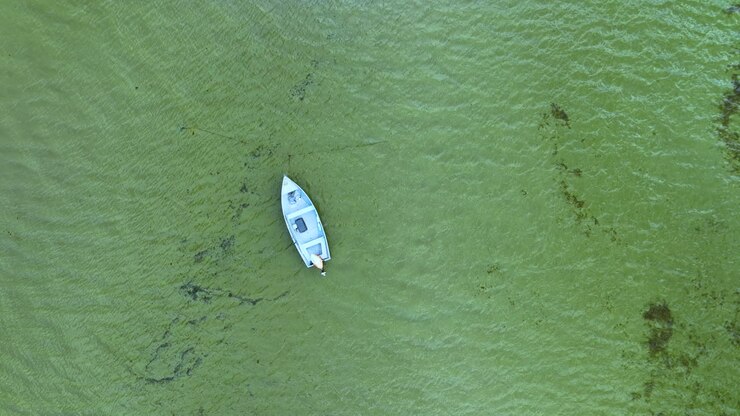 vista aerea dall'alto verso il basso di una barca su un mare verde vibrante