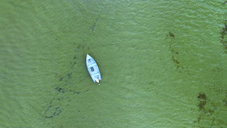 top-down-aerial-view-of-a-boat-on-a-vibrant-green-sea