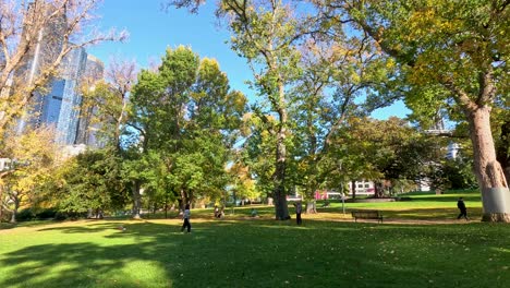 people enjoying a ball game in the park