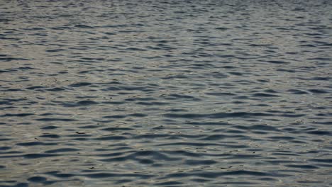 Wasserkräuselungen-Bei-Sonnenaufgang-Im-Hafen