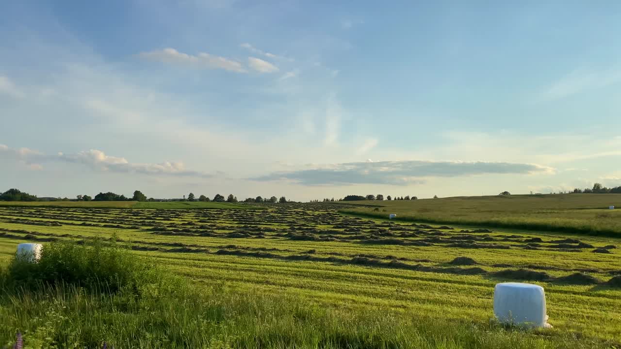 paisaje rural con balas de heno
