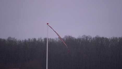 danish pennant in the wind on a frosty day