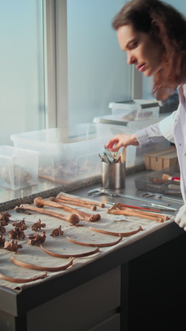investigación paleontológica en un laboratorio