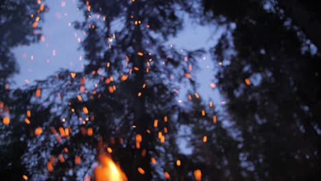 dark evening fire with blue sky and sparkles, blurry background and trees