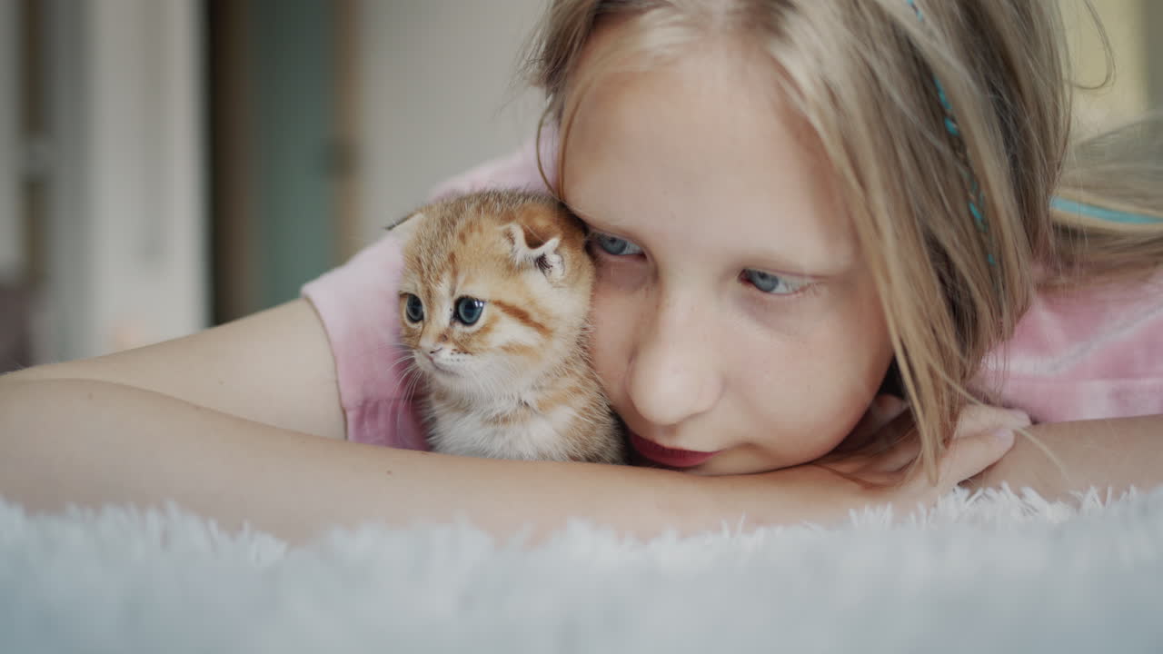 Portrait of a child with her pet - a ginger kitten