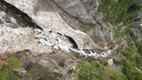 vertical aerial view following glacial mountain stream down lush forested valley slopes in provo, utah